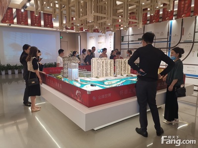 金鹰世界怎么样?看现场置业顾问发布了5条项目新消息!