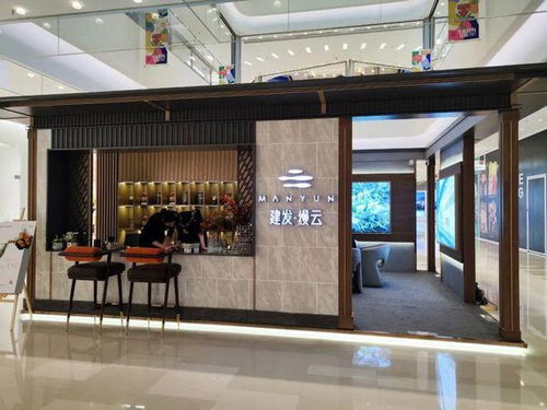 首曝光 河西南豪宅有户型图流出