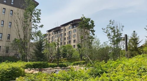 5字头 即买即下证 长春低密置业的首选,从这个实景洋房开始