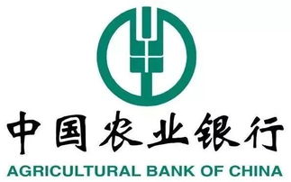 299元抢3d硬金福袋手串 这个周末不来金鹰你就亏了