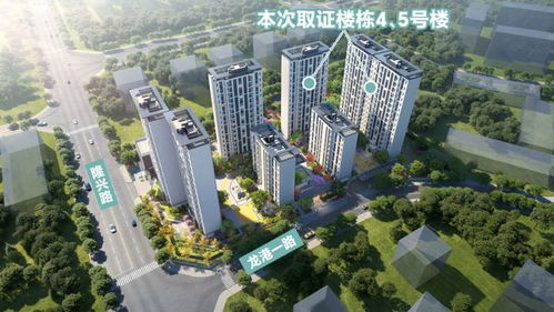 195万总价触发青年购房血脉觉醒，东三环精装套三新房掀起抢购潮